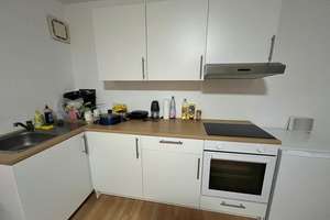 Geräumiges 1-Zimmer Apartment in Essen-Stadtwald – Ahornstr. 25, 45134 Stadtwald, Essen – Vorschaubild 4