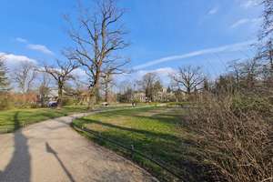 Schulen ums Eck*Garten*Süd-Terrasse*NEUBAU*Lichterfelde West* – Die vollständige Adresse der Immobilie erhältst du vom Anbieter., 12203 Lichterfelde, Berlin – Vorschaubild 9