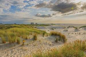 Rarität auf Eiderstedt - Traumwohnung nahe St. Peter-Ording & Nordsee | Provisionsfrei – Die vollständige Adresse der Immobilie erhältst du vom Anbieter., 25836 Vollerwiek – Vorschaubild 34
