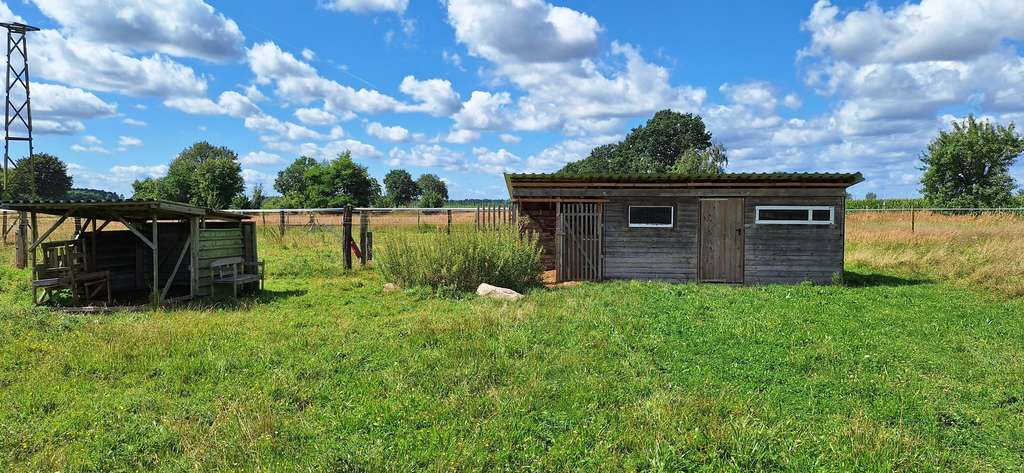 Immobilie in Wittingen - Resthof mit Weide und großem Garten - ideal für Selbstversorger und Tierbesitzer - 1,37ha - Bild 2