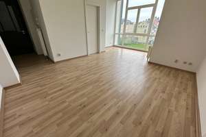 Wintergarten -  geräumige Zimmer - im 3.OG - Frei ab 1.5.26 – Altendorfer Straße 10, 9113 Schloßchemnitz, Chemnitz – Vorschaubild 9