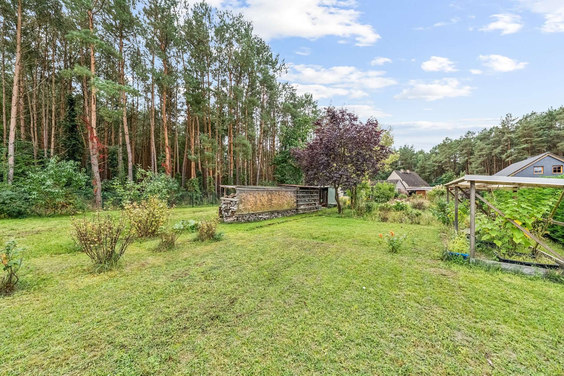 Einfamilienhaus am Waldrand mit Baureserve und zwei Zufahrten, Oder Spree Kreis – Bild 3