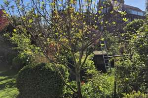 Freie, top renovierte Erdgeschosswohnung + Gartenteil – Jägerstraße 12 a, 48153 Josef, Münster – Vorschaubild 10
