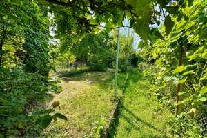 MA-PFINGSTBERG: Zwischen Stadt und Natur - Haus mit Garten, der Potenzial hat Ihr Paradies zu werden – 68219 Rheinau, Mannheim – Vorschaubild 7