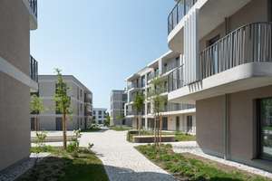 Gemütliche 1-Zimmer-Wohnung im Dachgeschoss