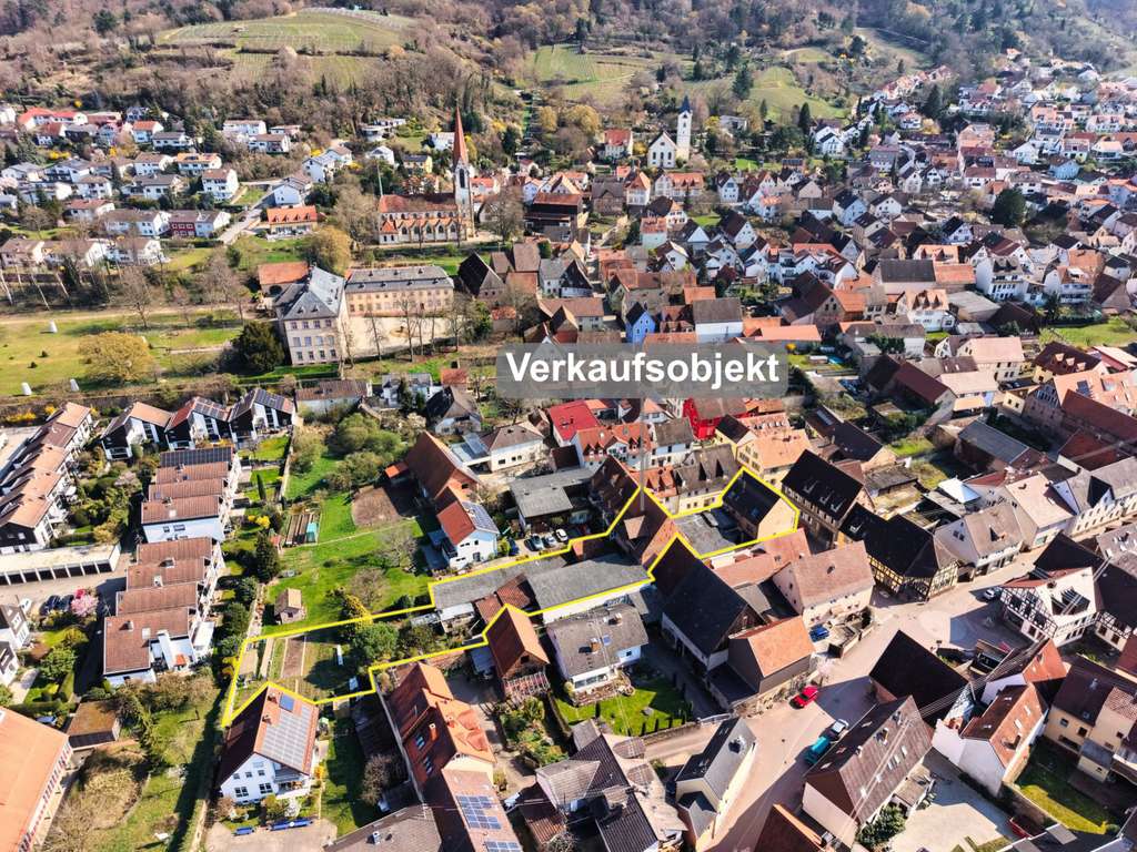 Immobilie in Hirschberg an der Bergstraße - Sanieren oder Projektieren - Hier ist alles möglich! - Bild 3