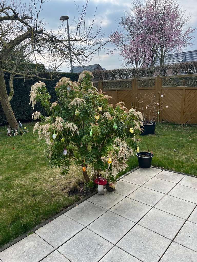 Immobilie in Ostercappeln - Modernes Einfamilienhaus in ruhiger Lage von Ostercappeln-Venne - Ideal für Familien! - Bild 2
