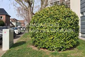 Property thumbnail 45