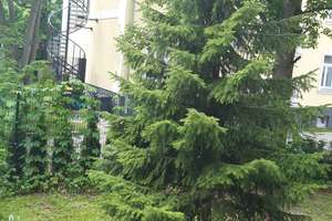eigener Garten und Stellplatz,Balk.,Bestlage Gohlis,helle 3 Ziwhg. in Gartenhaus,ruhig – Die vollständige Adresse der Immobilie erhältst du vom Anbieter., 4157 Gohlis-Mitte, Leipzig – Vorschaubild 6