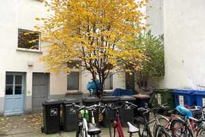 Helle bezugsfreie Wohnung mitten im Kiez – Boxhagener Str. 51, 10245 Berlin – Vorschaubild 6