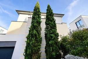 Neuer Preis: Barrierefreies Penthouse mit Südbalkon und Stellplatz – Die vollständige Adresse der Immobilie erhältst du vom Anbieter., 68165 Schwetzingerstadt/Oststadt, Mannheim – Vorschaubild 3