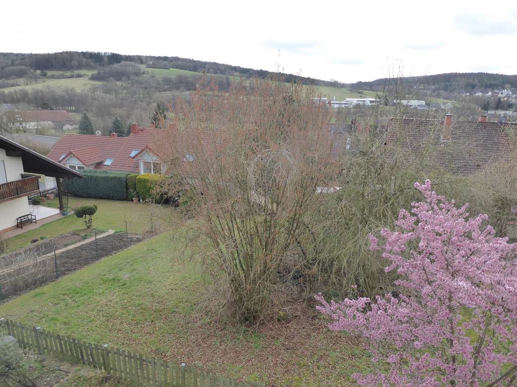 Immobilie in Mömbris - 1 Fam. Wohnhaus (DHH) mit Carport in wunderschöner Südhanglage - Bild 4