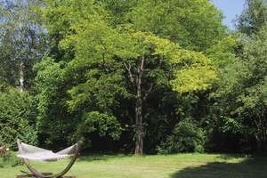 Property thumbnail 20