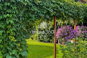 In Seenähe: Einfamilienhaus mit Garten – Dahme-Spreewald (Kreis) – Vorschaubild 3