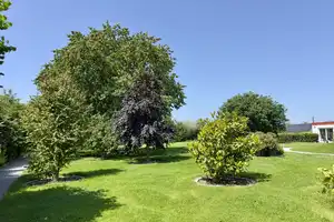 Bist Du bereit?Ich warte bereits auf Dich!Bei mir darfst Du Dich Wohlfühlen und Dein Leben genießen! – Paderborn (Kreis) – Vorschaubild 29
