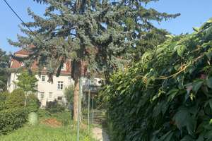  Reihenhaus mit 6 Zimmern von Privat in Mainz-Kostheim  – Wallufer Straße 9, 55246 Mainz-Kostheim, Wiesbaden – Vorschaubild 4
