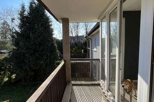 helles, gemütliches Reiheneinfamilienhaus mit Stil in sehr guter Lage in Kassel – Belgische Straße 9, 34121 Wehlheiden, Kassel – Vorschaubild 26