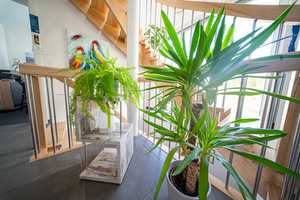 Stilvoll leben in Sundern – modernes Traumhaus mit Garten & Wohlfühlfaktor – Hochsauerlandkreis – Vorschaubild 19