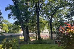 Kapitalanlage Rosenhöhe - Stilvolle Maisonettewohnung mit 3 Zimmern und Balkon - Parkmöglichkeit – 63069 Vorderwald-Rosenhöhe, Offenbach am Main – Vorschaubild 14