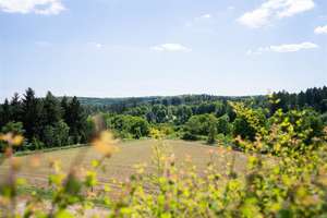 Sonnenverwöhntes Anwesen in ruhiger Lage – Die vollständige Adresse der Immobilie erhältst du vom Anbieter., 56584 Thalhausen – Vorschaubild 9