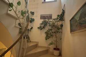 Solides REH in Pentling mit großem Garten – Regensburg (Kreis) – Vorschaubild 10