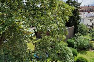 Hübsche sanierte DG-Wohnung in 3-Familienhaus – 68199 Neckarau, Mannheim – Vorschaubild 11