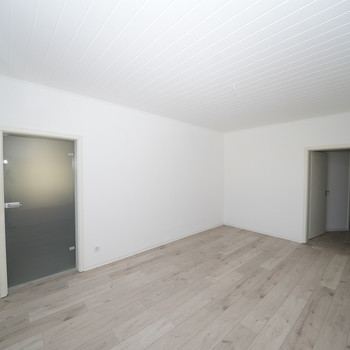 +++ ERSTBEZUG NACH SANIERUNG: Wohnraum-Schönheit im Herzen Lichtensteins  +++