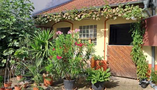 Bild von Hofreite mit Pferdeboxen