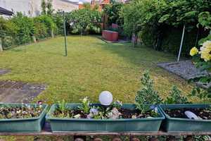 Gepflegtes 3 Familienhaus in zentraler Lage von Rüsselsheim, eine Wohnung ist frei! – Groß-Gerau (Kreis) – Vorschaubild 3