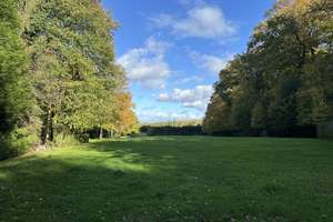 FRIEDERICH: Historischer Landsitz auf parkähnlichen Grundstück in bester Aachener Südviertellage – Die vollständige Adresse der Immobilie erhältst du vom Anbieter., 52076 Burtscheid Steinebrück, Aachen – Vorschaubild 11