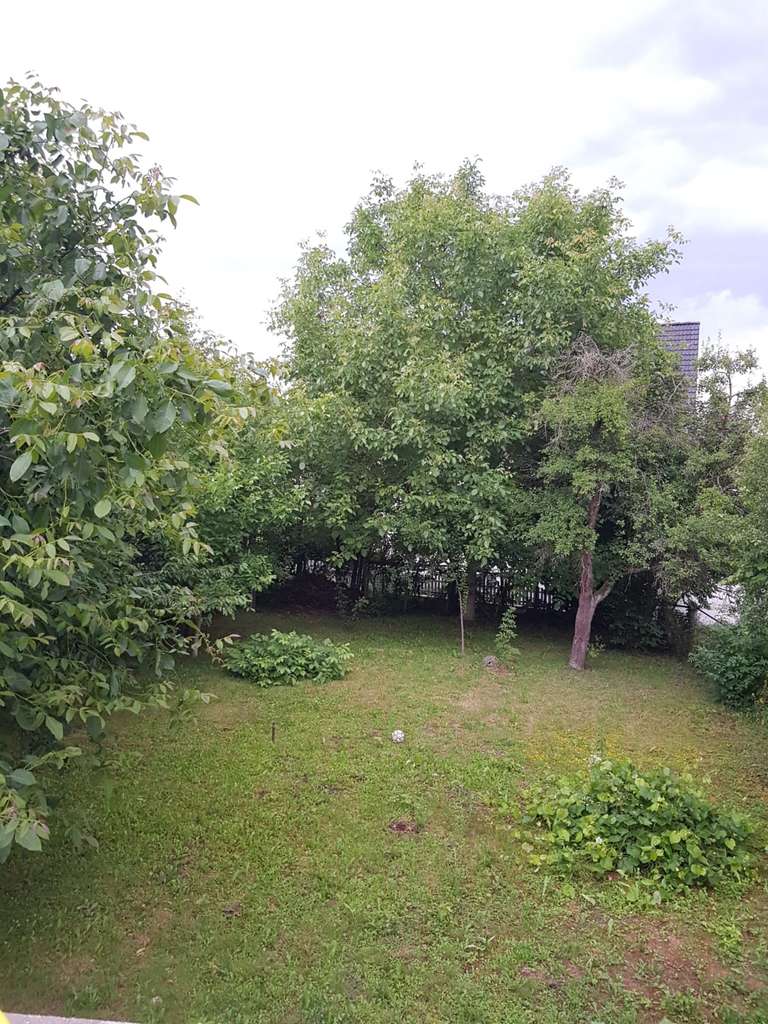 Immobilie in Gießen - Vierfamilienhaus mit Bauplatz! - Bild 0