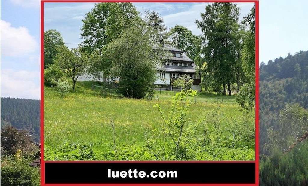 Immobilie in Schluchsee - Mod. aufwendig, architektonisch stilgerecht saniertes Landhaus, Teilabriss u. Neuaufbau, hochwert... - Bild 0