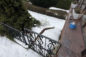 Frisch renoviertes Einfamilienhaus mit Einbauküche, Garten & 2 Garagen zu vermieten – Nordwall 24, 31167 Bockenem – Vorschaubild 56