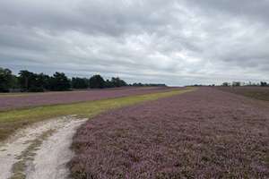 Property thumbnail 24