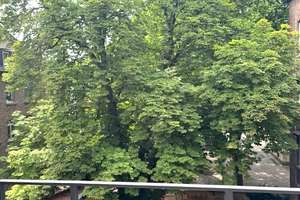 Schön geschnittene und sanierte Altbauwohnung im Herzen von Wiesbaden – Die vollständige Adresse der Immobilie erhältst du vom Anbieter., 65185 Mitte, Wiesbaden – Vorschaubild 12