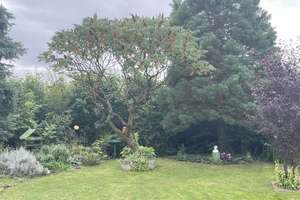 Eintreten und wohlfühlen, hübsches Einfamilienhaus mit zauberhaften Garten! – Buchenstraße 14, 6198 Bennstedt – Vorschaubild 54