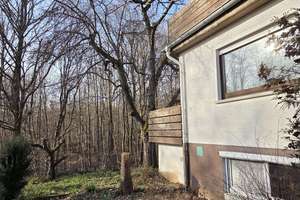 Mehrfamilienhaus in Waldlage von Wiesbaden-Dotzheim | sanierungsbedürftig – Langendellschlag 88, 65199 Dotzheim, Wiesbaden – Vorschaubild 23