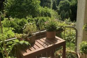 Property thumbnail 17