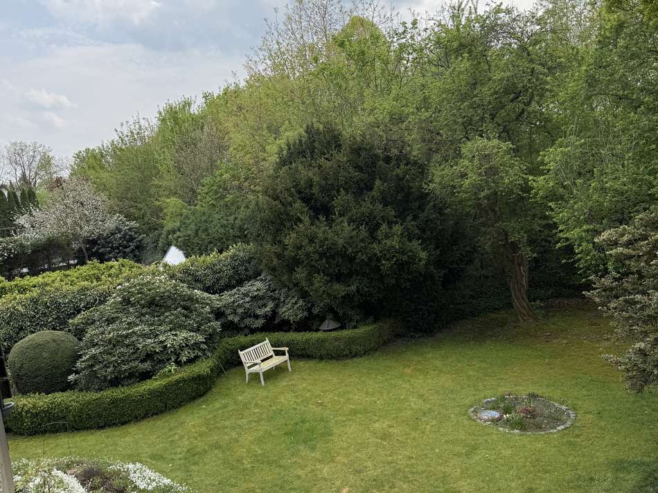 Blick von oben in den Garten 