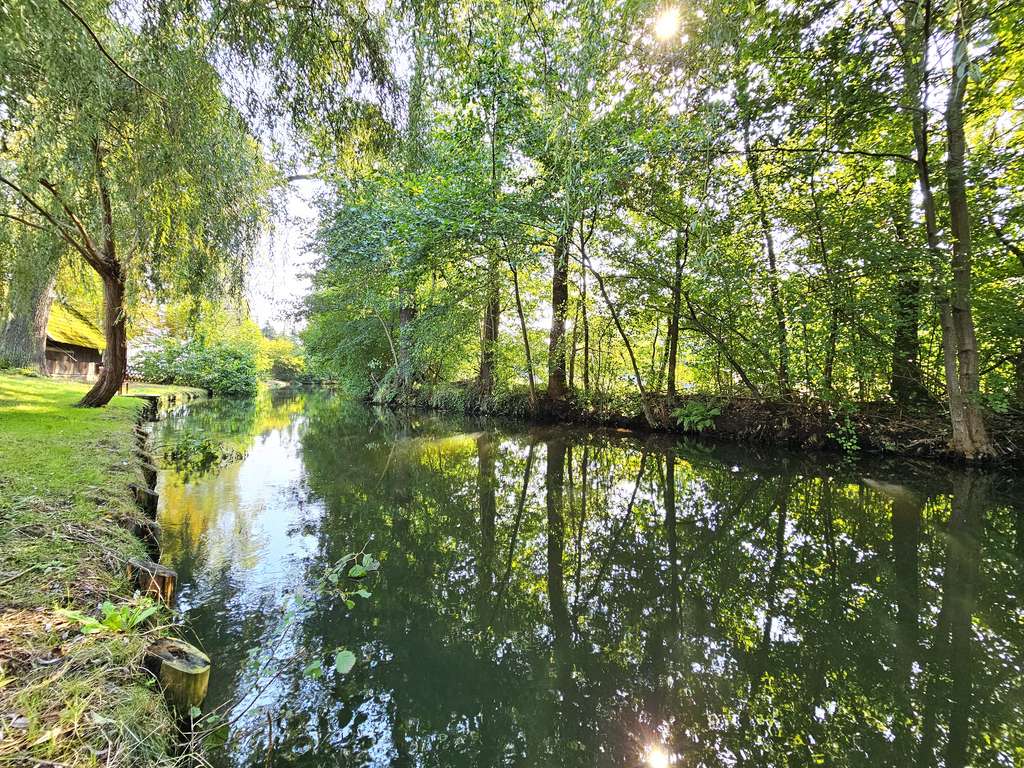 Immobilie in Burg (Spreewald) - Exklusives Wassergrundstück im Spreewald am Hauptfließ - Bild 4