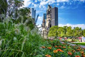 Property thumbnail 21