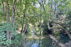 Property thumbnail 19