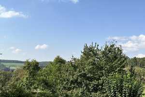 Doppelhaushälfte für Einsteiger – Hauptstrasse 3, 55758 Birkenfeld (Kreis) – Vorschaubild 5
