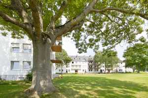 Tolle Erdgeschosswohnung mit Garten ab 01.05.25 – Niederberger Höhe 12, 56077 Koblenz – Vorschaubild 8