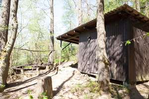 Das Haus im Wald - Idylle inmitten der Natur – Jägerleiten 12, 93464 Tiefenbach – Vorschaubild 14