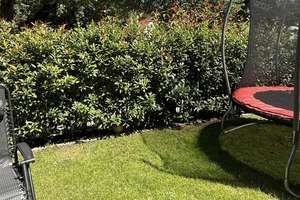 Gartenwohnung mit über 100 m² in Bestlage München-Solln – modernes Wohnambiente mit individuellem Ge – Seebergerstraße 2, 81477 Solln, München – Vorschaubild 2