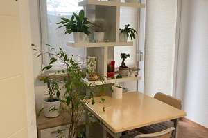 Modernisierte 1-Zimmer-Wohnung im EG. mit Terrasse und TG an Dianaplatz – Heisterstraße 20, 90441 Werderau, Nürnberg – Vorschaubild 34