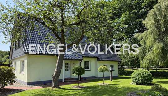 Bild von Solides Haus in Waldrandlage