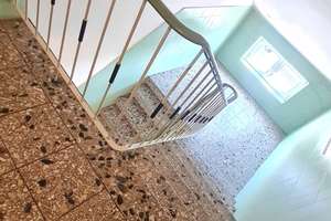 Charmantes 1-Zimmer-Apartment mit Balkon in Köln-Mülheim – Die vollständige Adresse der Immobilie erhältst du vom Anbieter., 51063 Mülheim (Ortsteil), Köln – Vorschaubild 11