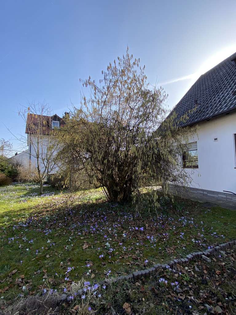 Immobilie in Hebertshausen - charmantes Einfamilienhaus in ruhiger Lage in Ampermoching - Bild 3